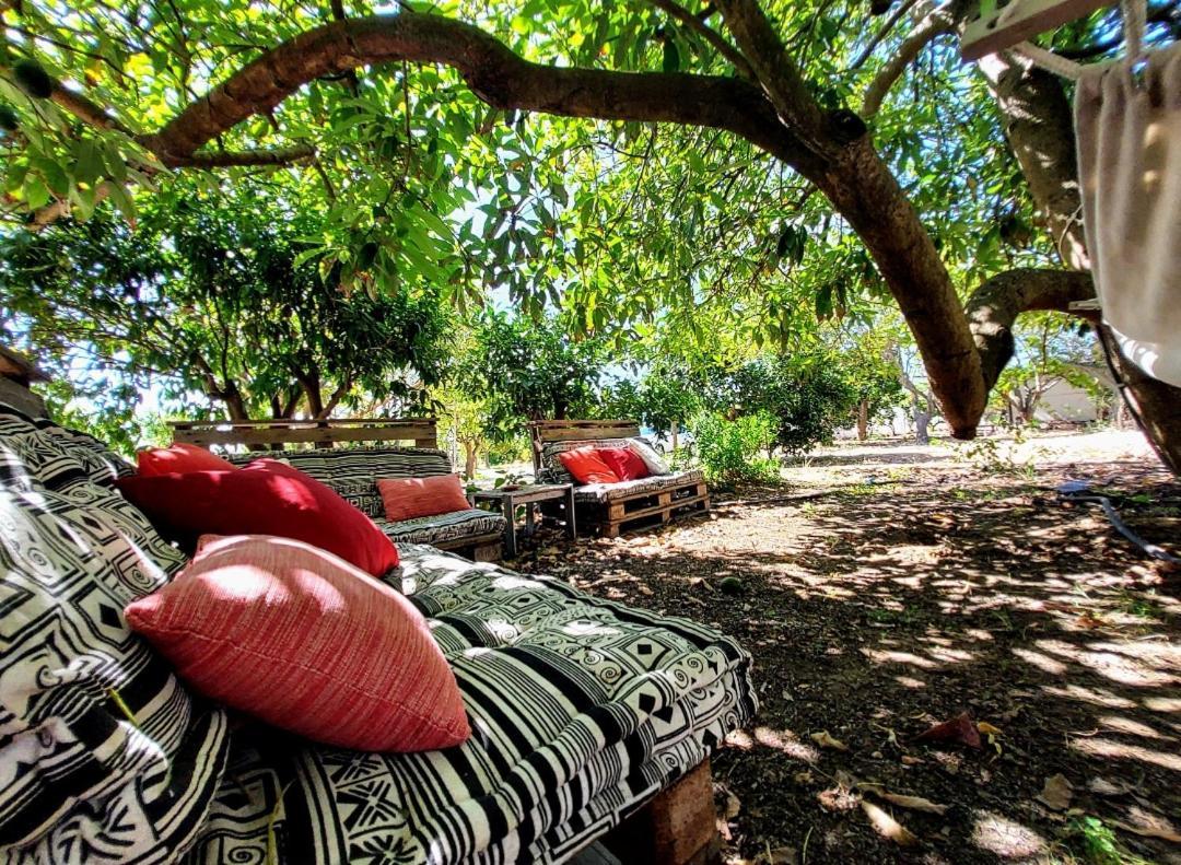 Quinta Da Norinha Hotel Portimão Eksteriør billede