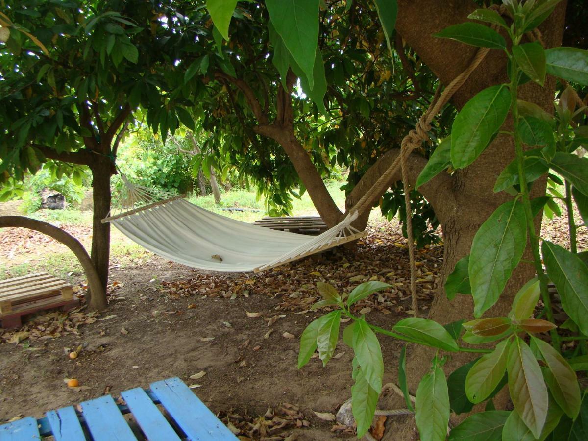 Quinta Da Norinha Hotel Portimão Eksteriør billede